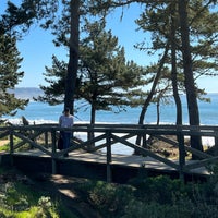 Photo taken at Año Nuevo State Park by Axel J. on 2/10/2022