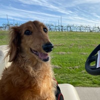 4/9/2022にJY L.がEagle Vines Golf Courseで撮った写真