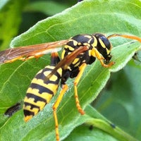 Photo taken at District of Central Saanich by Rawle J. on 8/16/2014