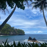 5/28/2023 tarihinde John P.ziyaretçi tarafından Hawaii Tropical Botanical Garden'de çekilen fotoğraf