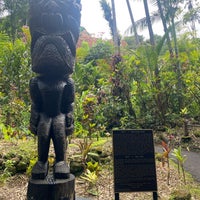 Das Foto wurde bei Hawaii Tropical Botanical Garden von John P. am 5/28/2023 aufgenommen