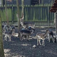 Photo taken at Zoo Malá Chuchle by LukaSH on 3/7/2021