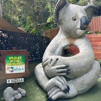 Foto tirada no(a) Kuranda Koala Gardens por ぜろ em 5/7/2023