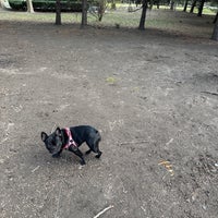 Photo taken at Flushing Meadows Corona Park Dog Run by Luis O. on 3/8/2023