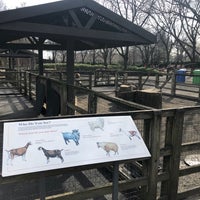 Photo taken at Domestic Animals Exhibit (Petting Zoo) by Luis O. on 2/6/2019