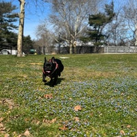 Photo taken at Flushing Meadows Corona Park by Luis O. on 3/8/2024