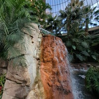 Photo taken at The Mirage Hotel &amp;amp; Casino by coin p. on 3/24/2024