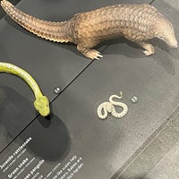 7/2/2022에 Michael T.님이 Natural History Museum of Utah에서 찍은 사진