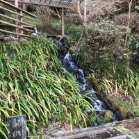 養老渓谷釣堀センター Fishing Spot In 大多喜町