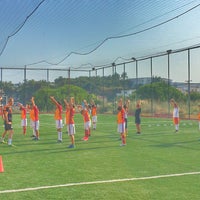 sunucu daha dogrusu paket sahin hali saha kusadasi bilsanatolye com