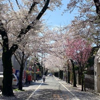 Photo taken at 成城の桜並木 by Masahiro S. on 3/29/2021