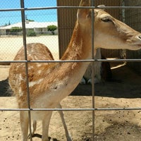 Hesperia Zoo Location