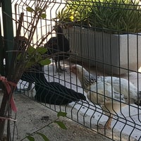 8/16/2018에 SAM O.님이 Yeşil Bahçe에서 찍은 사진