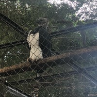 Photo taken at Jardim Zoológico do Rio de Janeiro by Josua B. on 9/30/2018