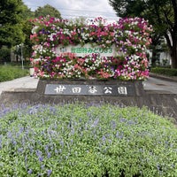 Photo taken at Setagaya Park by YDO on 8/26/2023