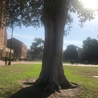 Photo taken at UCLA Shapiro Fountain by Figen A. on 9/27/2018