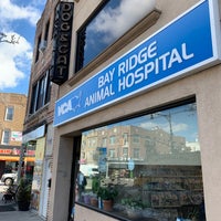 Photo taken at Bay Ridge Animal Hospital by M on 3/6/2019