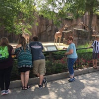 Photo taken at MillerCoors Giraffe Experience by Mark T. on 8/5/2017