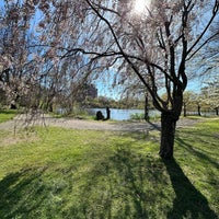 4/16/2024 tarihinde Taisiia I.ziyaretçi tarafından Branch Brook Park'de çekilen fotoğraf