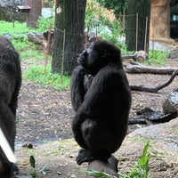 Photo taken at Gorilla Woods by Dan C. on 9/3/2021