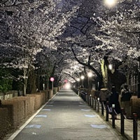 Photo taken at Aoyama Cemetery by Dan C. on 4/4/2024