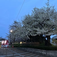 Photo taken at Sugekari Park by Dan C. on 4/2/2024