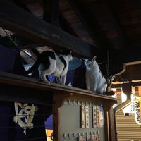 Photo taken at Hozenji Temple by Dan C. on 11/3/2023