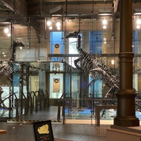 Photo taken at Museum of Natural Sciences by Fabio U. on 10/28/2022