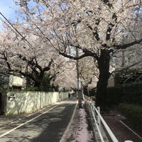 Photo taken at 染井よしの桜の里公園 by Hank W. on 3/27/2020
