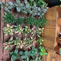 Photo taken at Plant Shop Chicago by Rachel A. on 1/30/2020