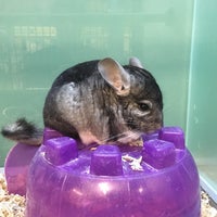 Feeders Supply Valley Station 1 Tip