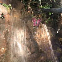 Photo taken at Rainforest Cafe by Samantha C. on 9/2/2018