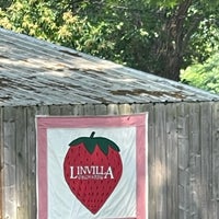 Photo taken at Linvilla Orchards by Carol D. on 6/17/2023