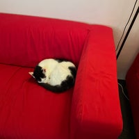 Photo taken at Cat Cafe by Rob K. on 8/24/2022