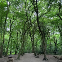 Photo taken at Highgate Wood by Nick H. on 6/5/2023
