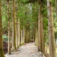 Photo taken at Boseong Dawon Green Tea Field by Penbrush k. on 2/25/2024