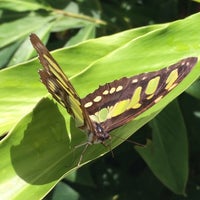 Photo taken at The Butterfly Farm by Mirka F. on 4/21/2014