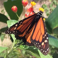 Photo taken at The Butterfly Farm by Mirka F. on 4/21/2014