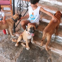 9/1/2019 tarihinde Neval E.ziyaretçi tarafından Silva Oliva Hotel &amp;amp; Farm'de çekilen fotoğraf