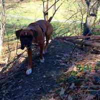 Photo taken at Piney Branch Hill at Rock Creek Park by Armie on 3/17/2016