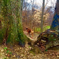 Photo taken at Piney Branch Hill at Rock Creek Park by Armie on 3/14/2016