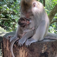Photo taken at Sacred Monkey Forest Sanctuary by DLK on 5/2/2024