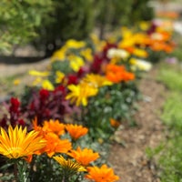 フラワー ガーデン森の風 Garden
