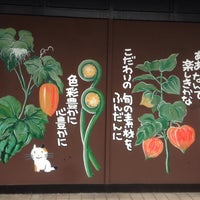 あかねや水産 Japanese Restaurant あかねや水産 Japanese Restaurant