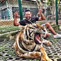 9/6/2017에 Tuğrul K.님이 Tiger Muay Thai &amp;amp; MMA Training Center에서 찍은 사진