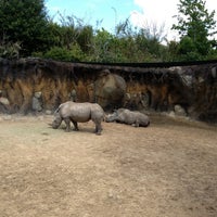 Photo taken at White Rhinoceros Exhibit @ Houston Zoo by Marcos M. on 4/6/2013