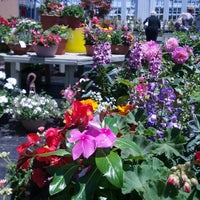 River Hill Garden Center River Hill 12165 Clarksville Pike