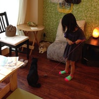 浅草橋猫カフェ Kei S ケイズ 台東区のカフェ 浅草橋猫カフェ Kei S ケイズ 台東区のカフェ