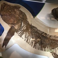 Photo taken at Dinosaurs/Hall of Paleobiology Exhibit by Tony C. on 8/17/2019