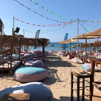 Moana Beach House 6 Tips From 524 Visitors